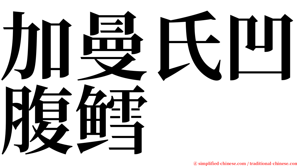 加曼氏凹腹鳕 serif font