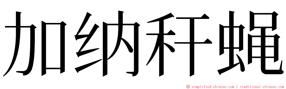 加纳秆蝇 ming font