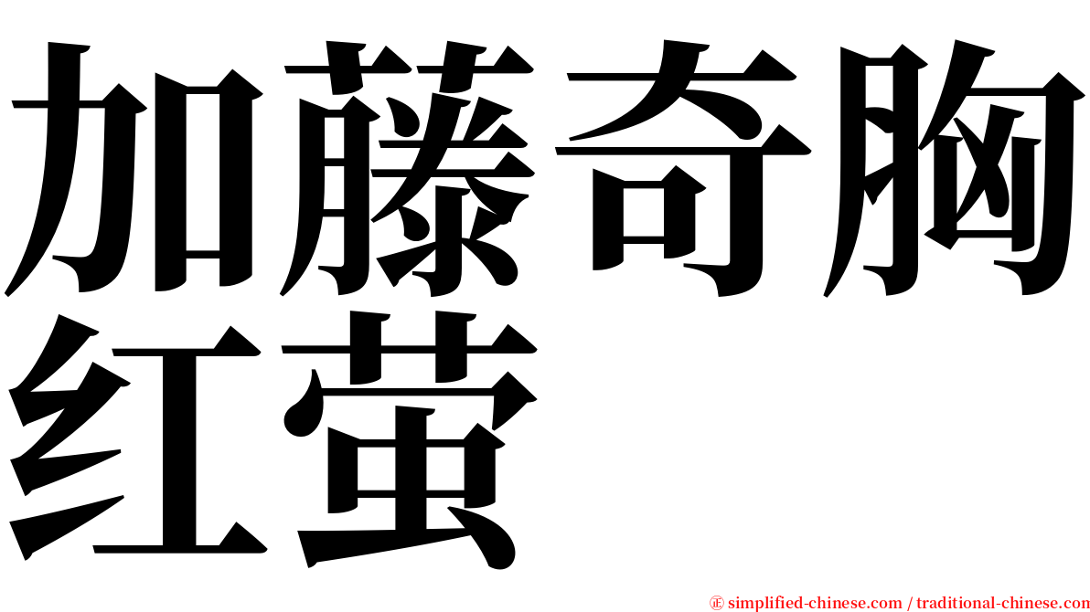 加藤奇胸红萤 serif font