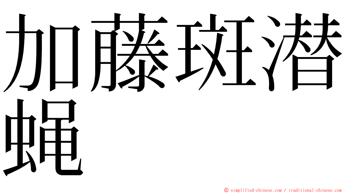 加藤斑潜蝇 ming font