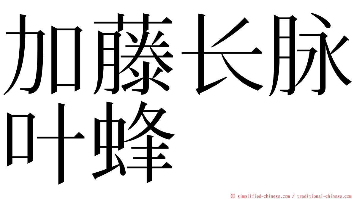 加藤长脉叶蜂 ming font