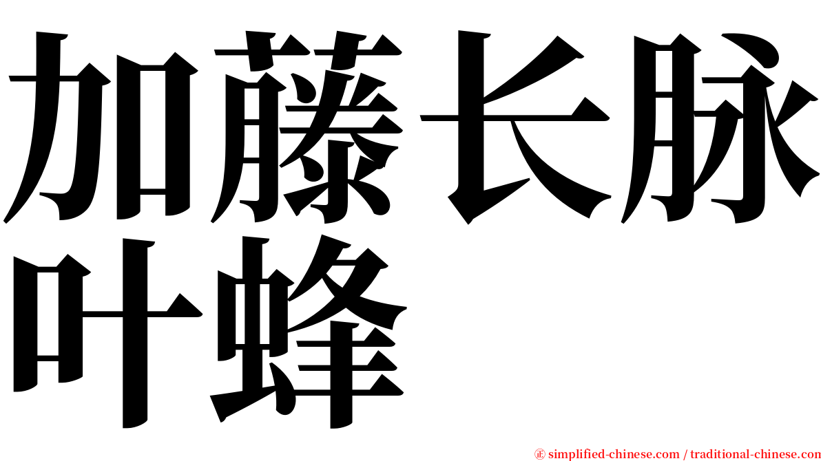 加藤长脉叶蜂 serif font