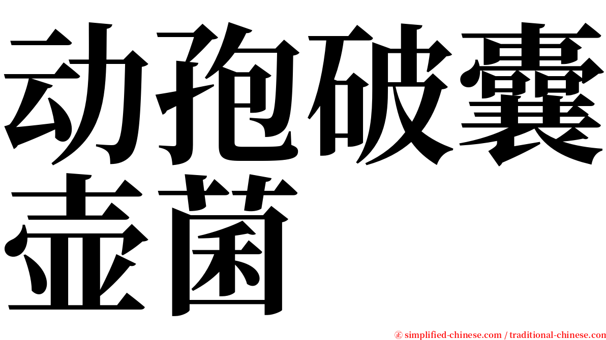 动孢破囊壶菌 serif font