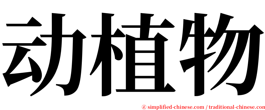 动植物 serif font