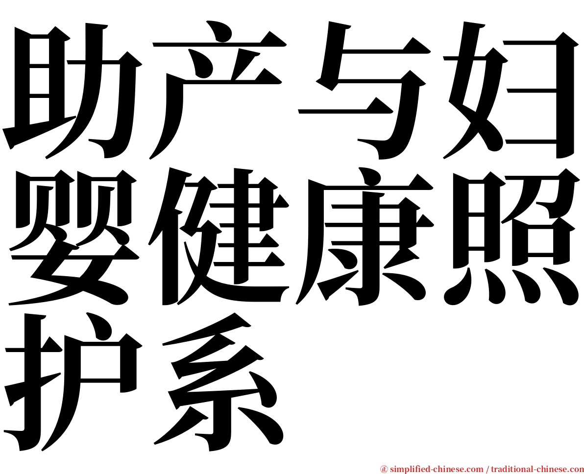 助产与妇婴健康照护系 serif font