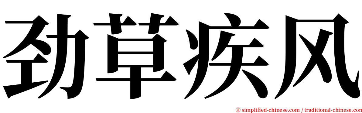 劲草疾风 serif font