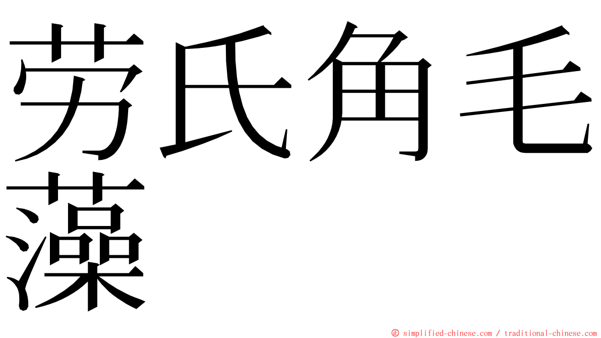 劳氏角毛藻 ming font