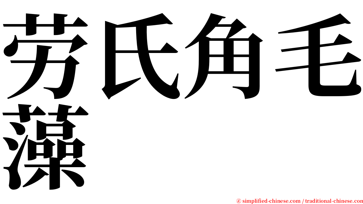 劳氏角毛藻 serif font
