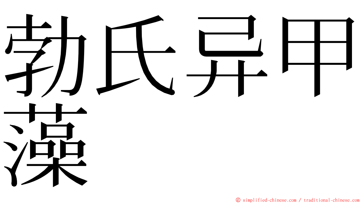 勃氏异甲藻 ming font