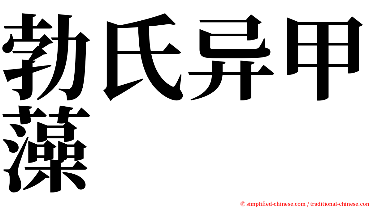 勃氏异甲藻 serif font