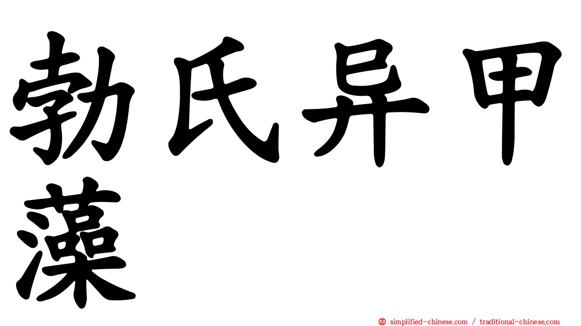 勃氏异甲藻