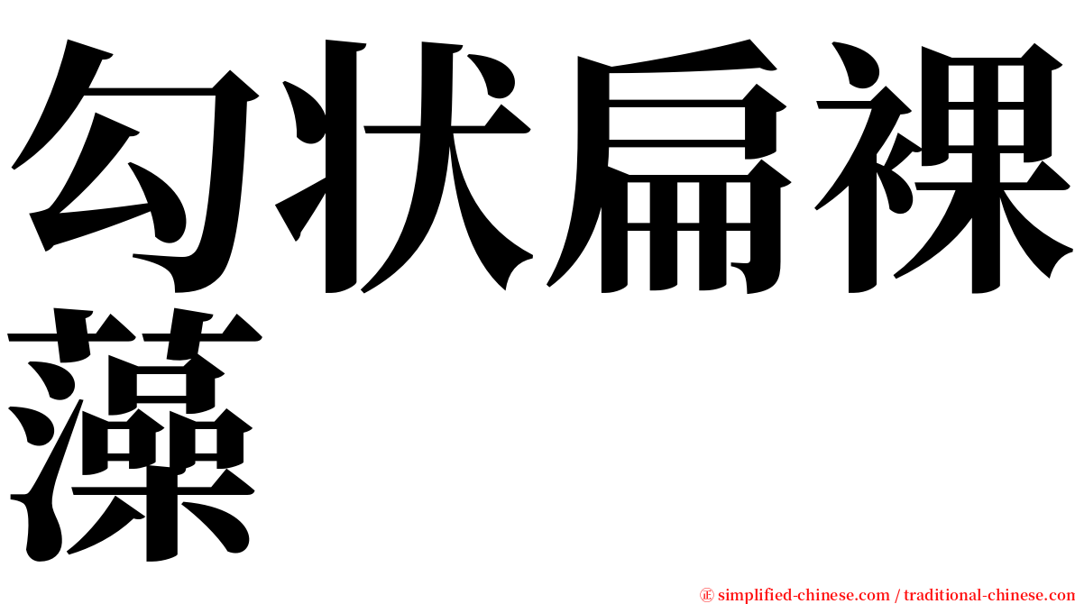 勾状扁裸藻 serif font