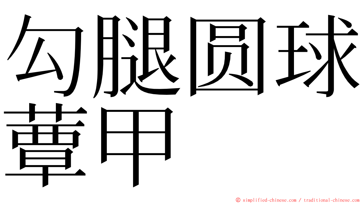 勾腿圆球蕈甲 ming font