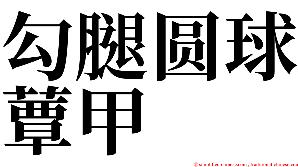 勾腿圆球蕈甲 serif font