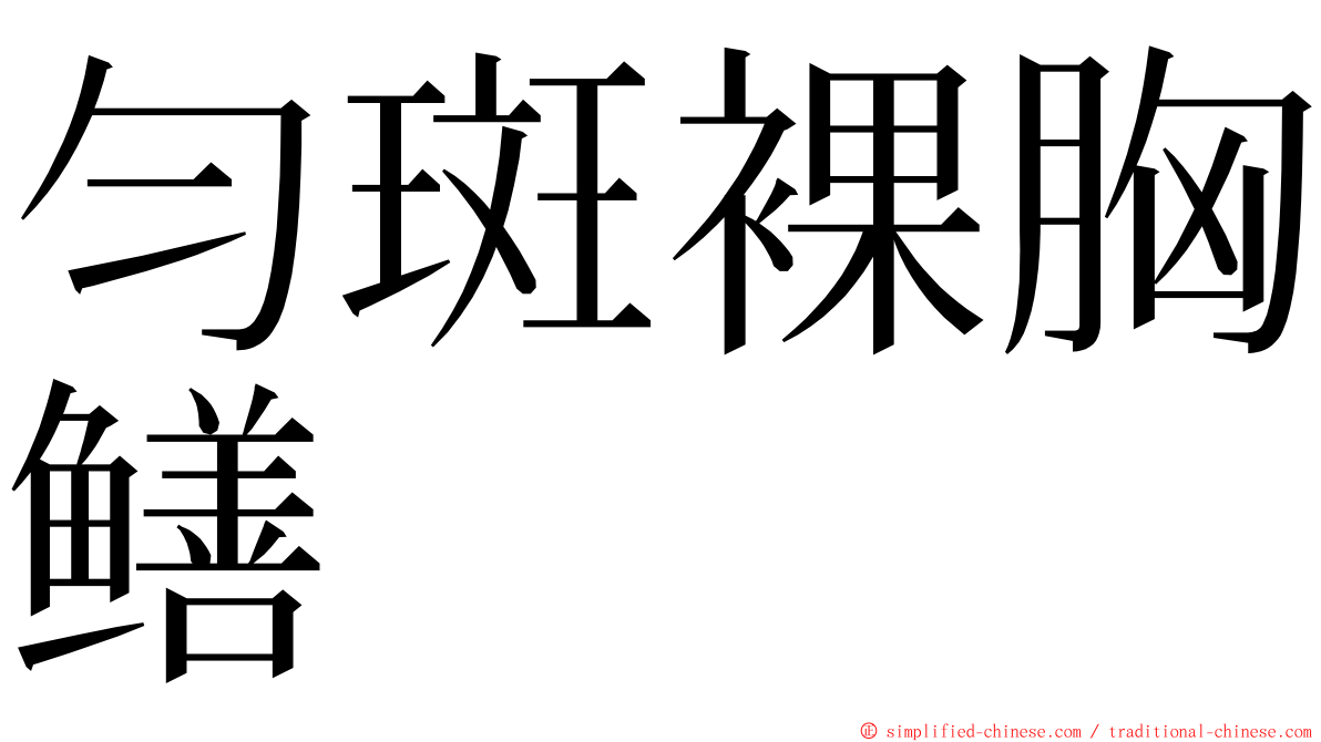 匀斑裸胸鳝 ming font