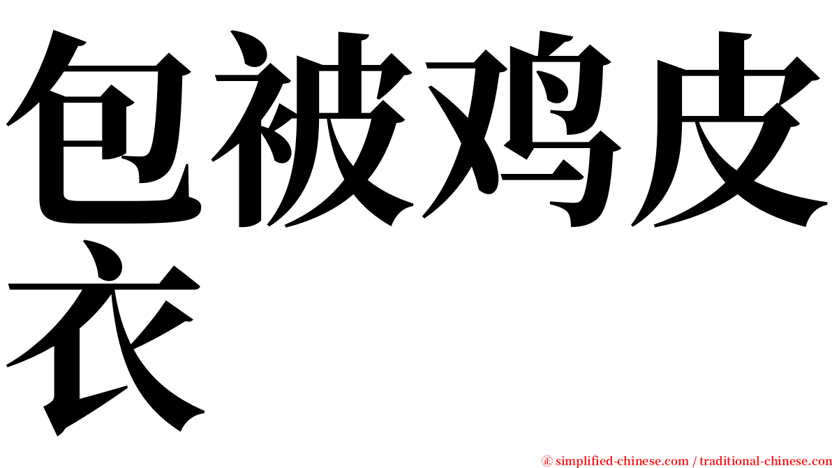 包被鸡皮衣 serif font