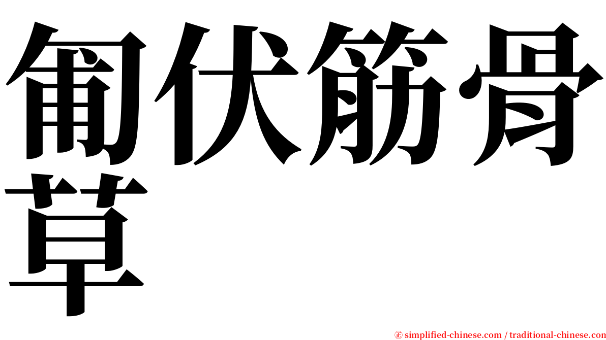 匍伏筋骨草 serif font