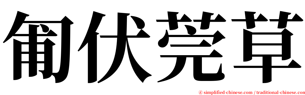 匍伏莞草 serif font