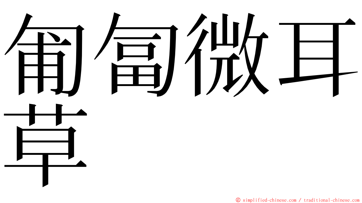 匍匐微耳草 ming font