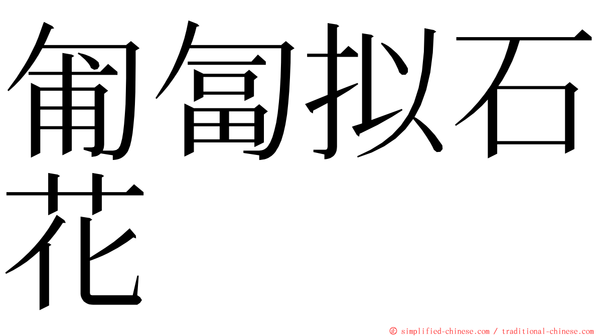 匍匐拟石花 ming font