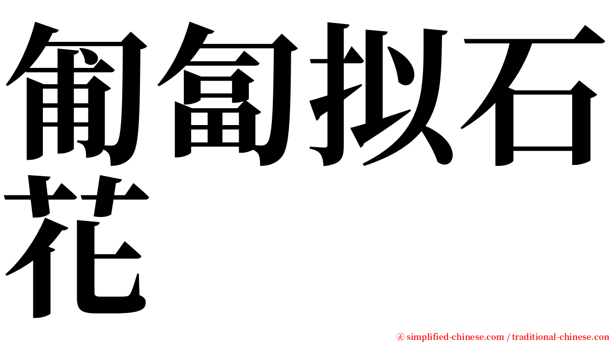 匍匐拟石花 serif font