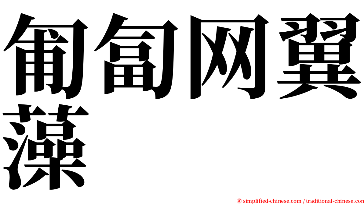 匍匐网翼藻 serif font