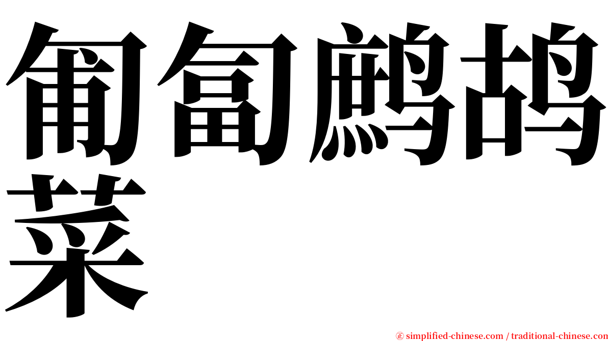 匍匐鹧鸪菜 serif font