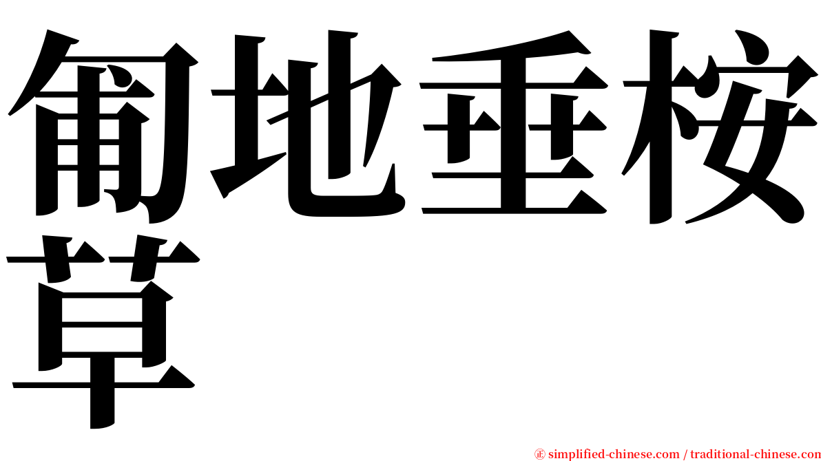 匍地垂桉草 serif font