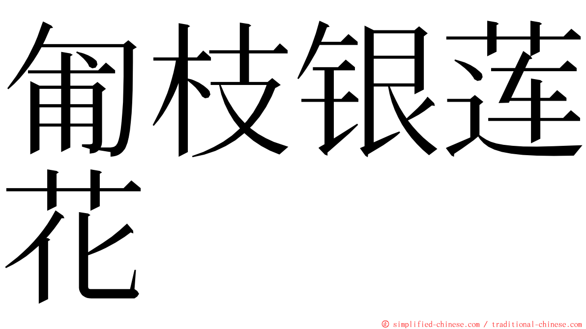 匍枝银莲花 ming font