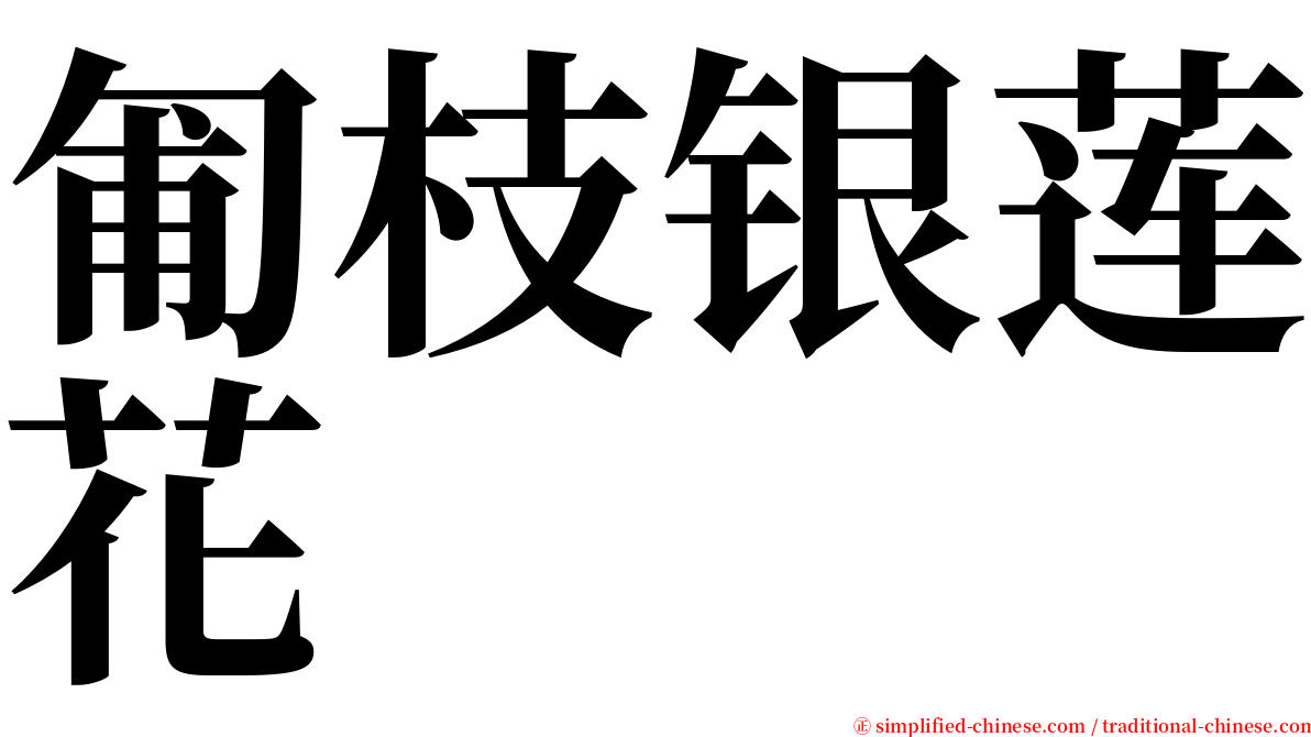 匍枝银莲花 serif font