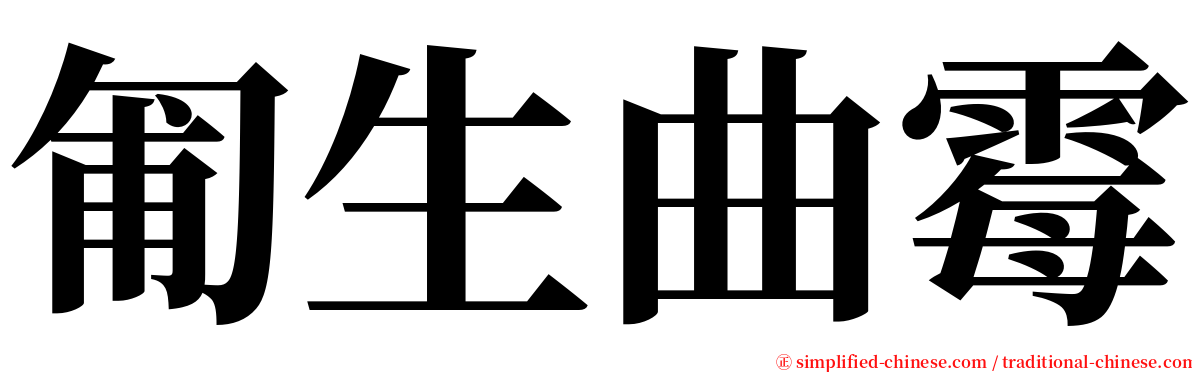 匍生曲霉 serif font