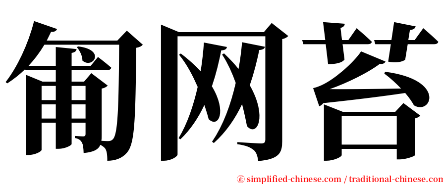 匍网苔 serif font