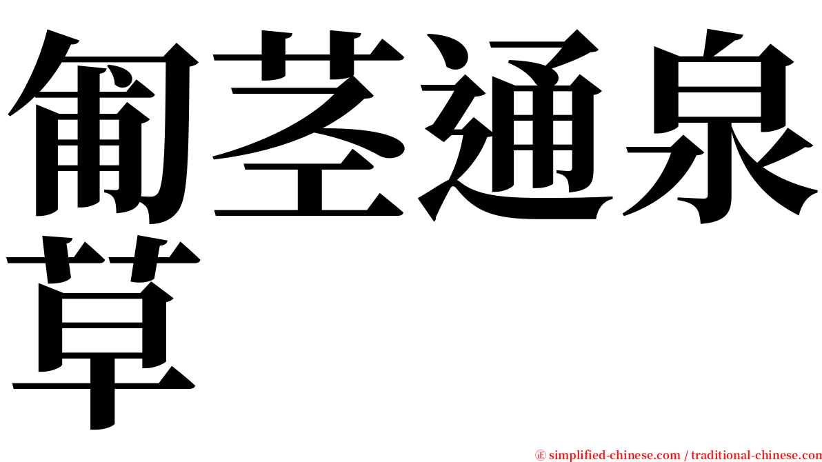 匍茎通泉草 serif font