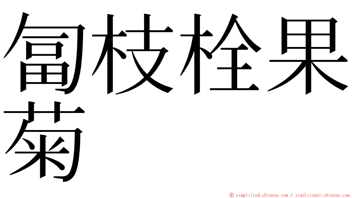 匐枝栓果菊 ming font