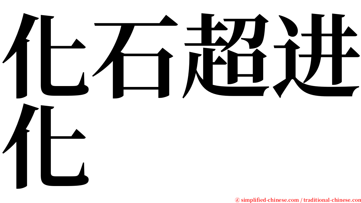 化石超进化 serif font