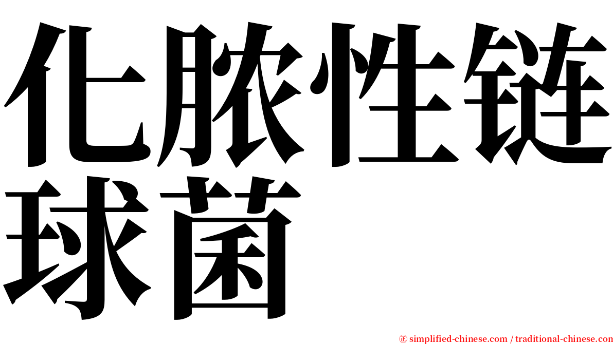 化脓性链球菌 serif font