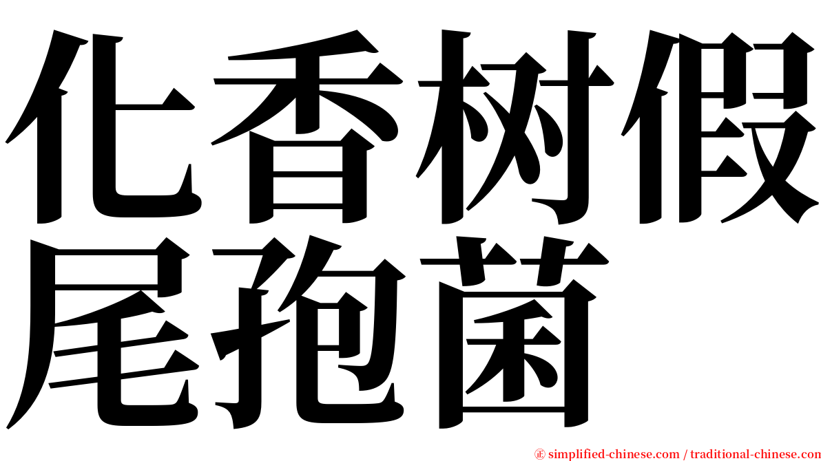 化香树假尾孢菌 serif font
