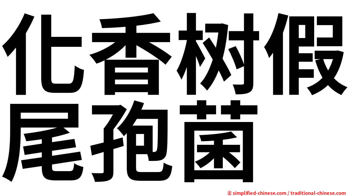 化香树假尾孢菌