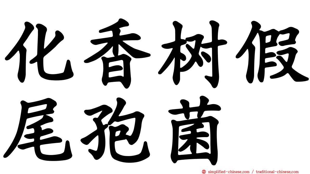 化香树假尾孢菌