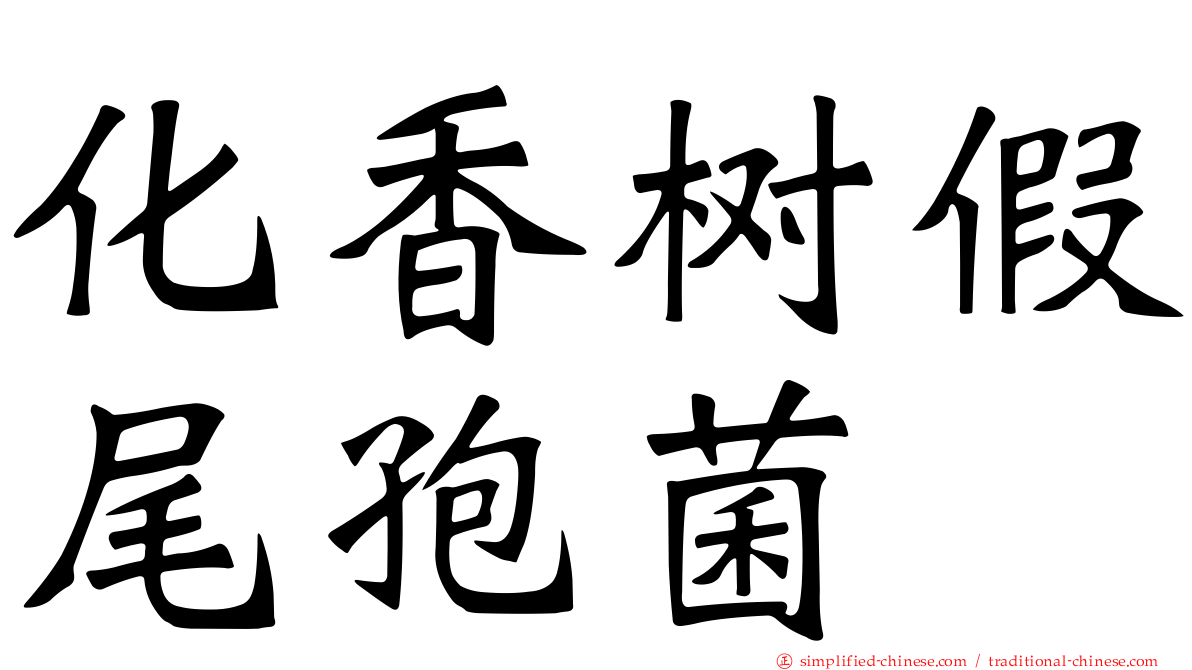 化香树假尾孢菌