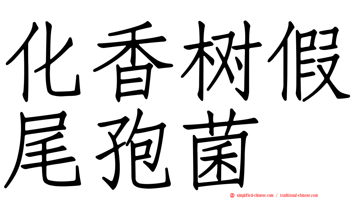 化香树假尾孢菌