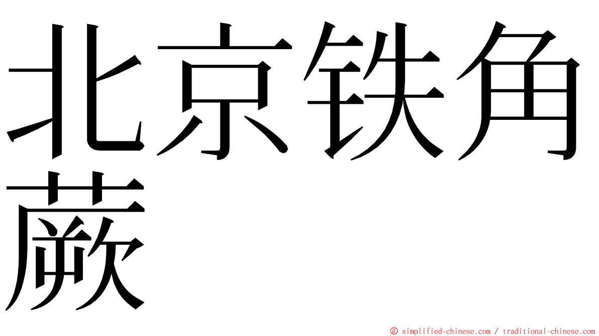 北京铁角蕨 ming font