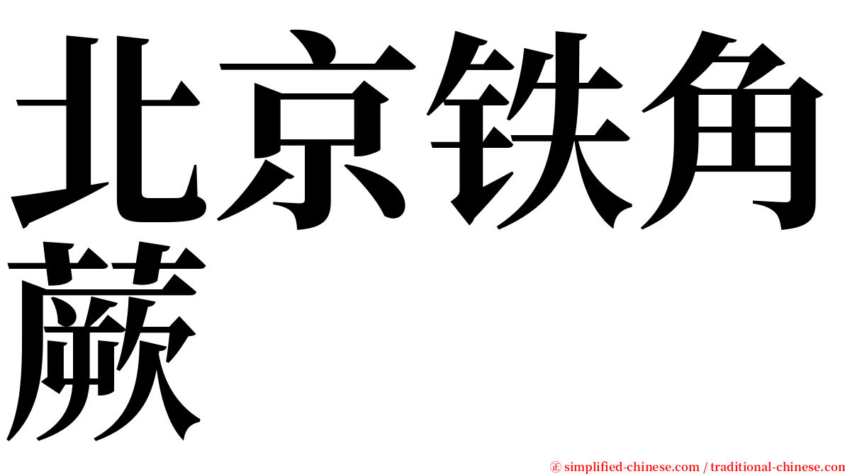 北京铁角蕨 serif font