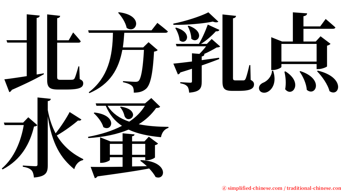 北方乳点水蚤 serif font