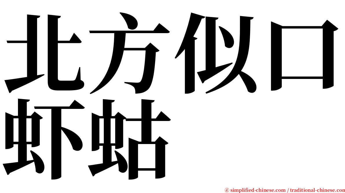 北方似口虾蛄 serif font