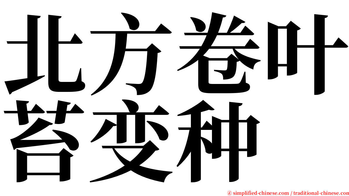 北方卷叶苔变种 serif font