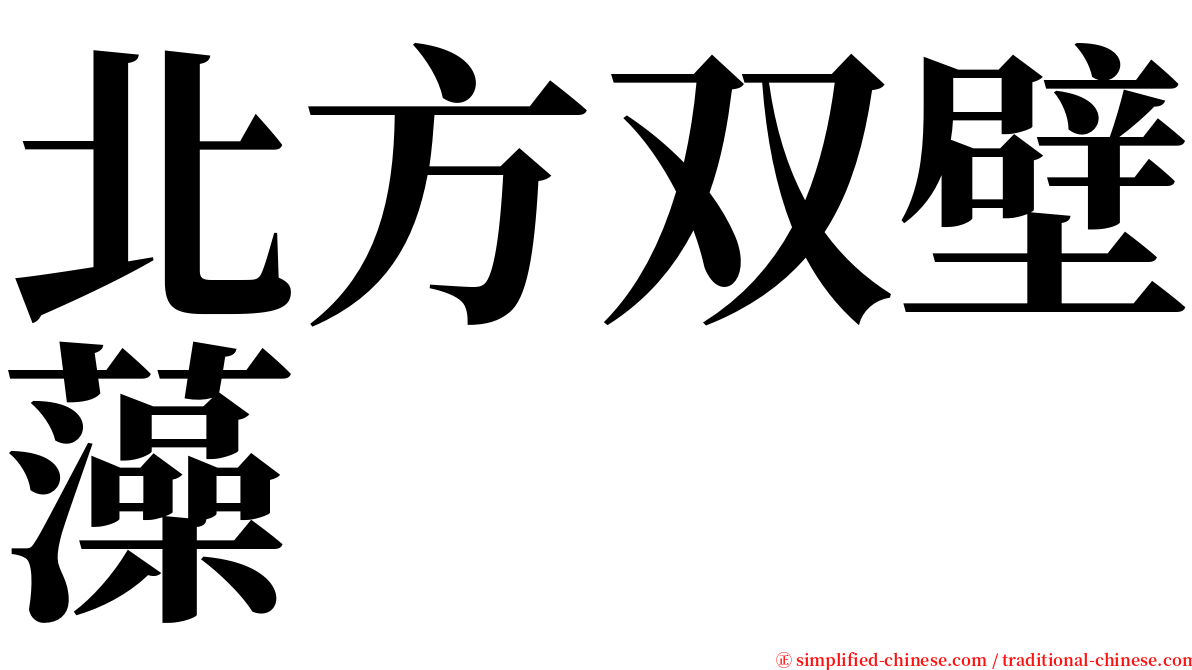 北方双壁藻 serif font