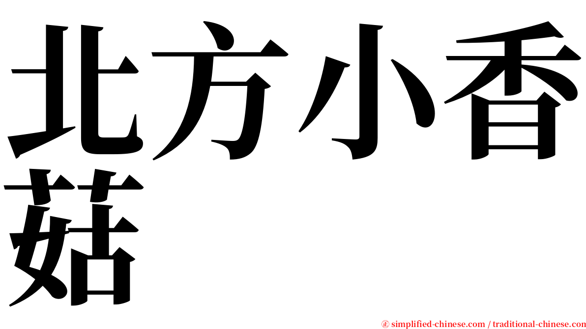 北方小香菇 serif font