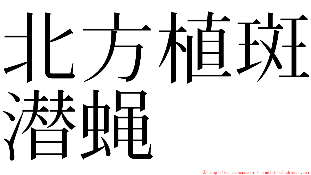 北方植斑潜蝇 ming font