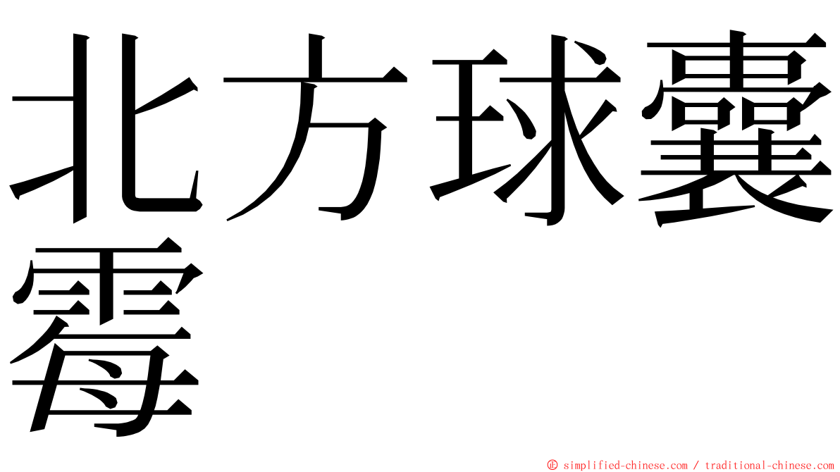 北方球囊霉 ming font